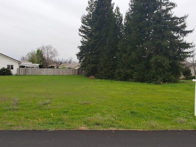 unlisted-address, Cottonwood, CA 96022 - photo 6