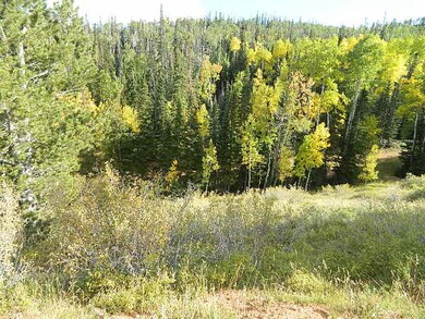 483 W Kokopelli Loop, Brian Head, UT 84719 - photo 2