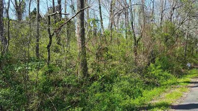 818 Largemouth Dr unit Parkview Shores 2, Scottsville, KY 42164 - photo 2