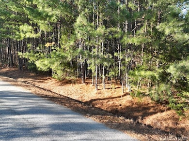 0 Allen Rd unit 140407, Lacrosse, VA 23950 - photo 2