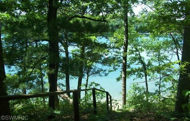 9177 S Truman Ave, Baldwin, MI 49304 - photo 2