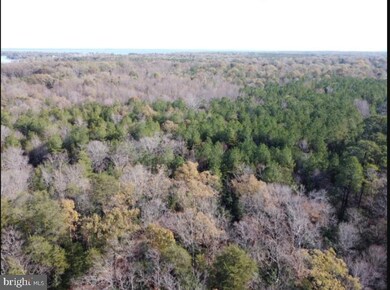 Lot #7 Ferry Landing, Colonial Beach, VA 22443 - photo 4