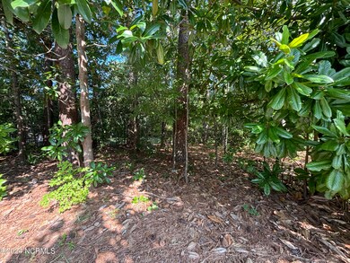 102 W Liberty St, Williamston, NC 27892 - photo 7