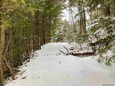 8 Potter Brook Rd, Warrensburg, NY 12885 - photo 3