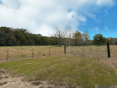 45538 Doc Ln, Saint Amant, LA 70774 - photo 5