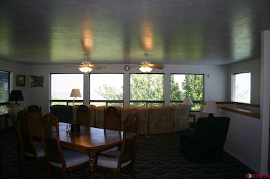 2225 Rd, Cedaredge, CO 81413 - photo 4