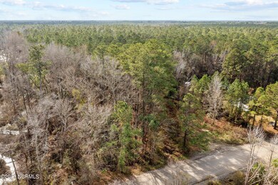 Lot 5 Arvida Spur Rd, Rocky Point, NC 28457 - photo 7