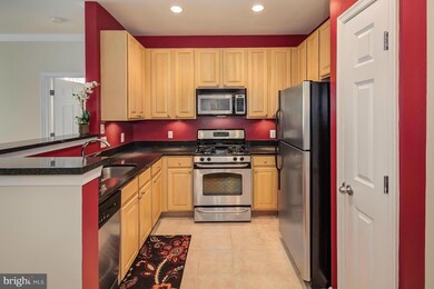 2301 25th St S unit 4104, Arlington, VA 22206 - photo 4