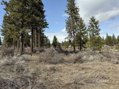 0 Copperfield unit 3007524, Chiloquin, OR 97624 - photo 6