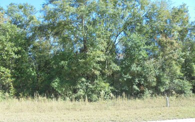 0 Suwannee Woodlands Ln, O'Brien, FL 32071 - photo 5