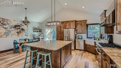 403 Silvermoon Heights, Divide, CO 80814 - photo 6