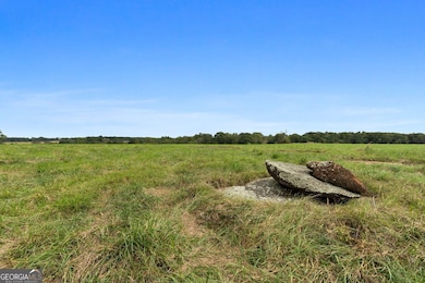 61 ACRES Barnesville Hwy, the Rock, GA 30285 - photo 4