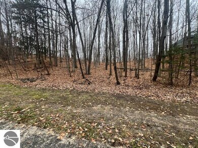 0000 Wasservalden St, Custer Township, MI 49615 - photo 6