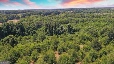 3439 TRACT 1 Providence Church Rd, Lavonia, GA 30643 - photo 7