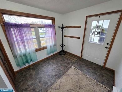 2835 4th Ave E, Hibbing, MN 55746 - photo 5