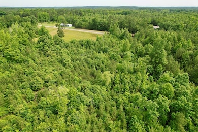 642 Grubby Rd, Wilsons, VA 23894 - photo 6