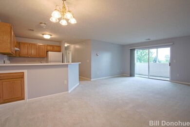 Entry/Kitchen/Living