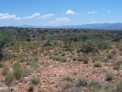 74.66ac 2 Lots Highpoint Rach unit 303-311, Willcox, AZ 85643 - photo 6