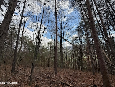 Lot 3 Parksville Rd, Benton, TN 37307 - photo 4