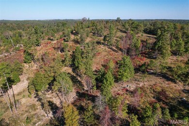 Aerial view of a heavily wooded area