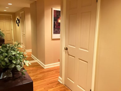 3439 Vollmer Rd unit 103, Flossmoor, IL 60422 - photo 6