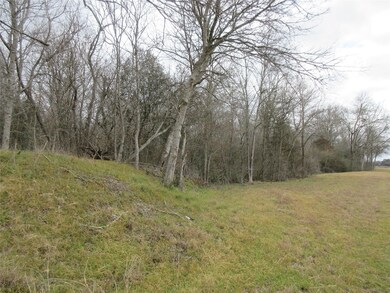 5105 Fenske Ln, Needville, TX 77461 - photo 5