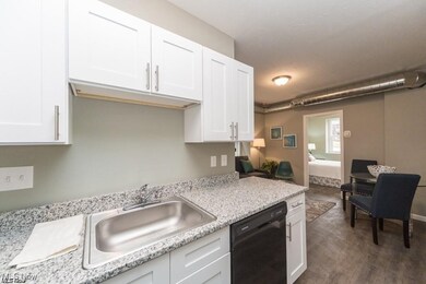 Kitchen with dark hardwood / wood-style flooring, dishwasher, and white cabinetry