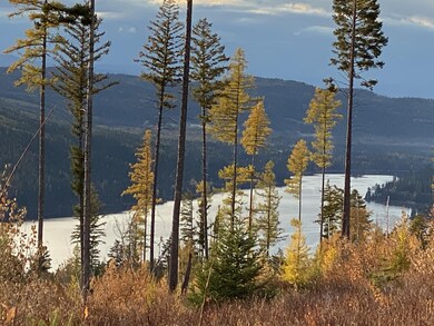 Nhh Cougar Flats Rd, Bigfork, MT 59911 - photo 2