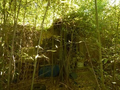 4004 Us Highway 98, McComb, MS 39648 - photo 7