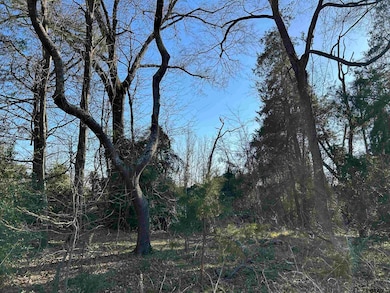 TBD County Road 3324, Pittsburg, TX 75686 - photo 2