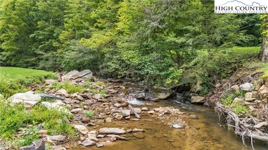 809 Roaring Fork Rd, Creston, NC 28615 - photo 3