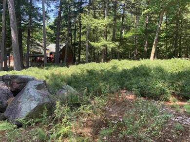 88 Cow Island, Tuftonboro, NH 03816 - photo 2