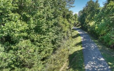 13.32 Old Tails Creek Rd, Ellijay, GA 30540 - photo 3