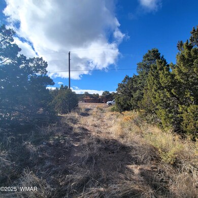 0 S Spanish unit 258796, Eagar, AZ 85925 - photo 6