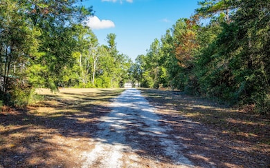 00 177th Ln, Live Oak, FL 32060 - photo 4