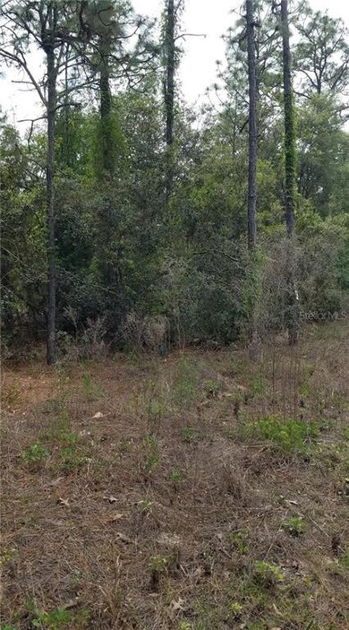 Nice wooded acreage