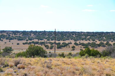 DSC_9736