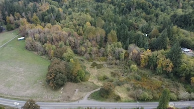 13920 Littlerock Rd SW, Rochester, WA 98579 - photo 3