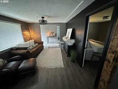 48399 E 1st St, Oakridge, OR 97463 - photo 5