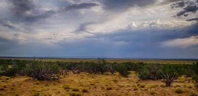 20200821_173213-HDR