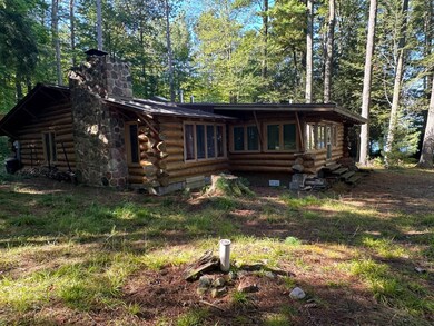 7352 N Chippewa Flowage Rd, Couderay, WI 54828 - photo 2