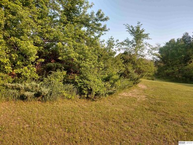 8897 Verdon Cir, Plattsmouth, NE 68048 - photo 4