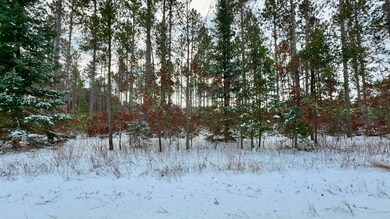 0 County X Rd unit 50318765, Crivitz, WI 54114 - photo 7