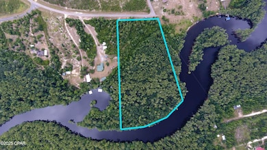 TBD SE Cypress Point, Wewahitchka, FL 32449 - photo 2