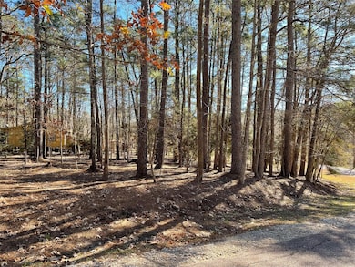 0 Cherry Hill Dr, Coldspring, TX 77331 - photo 3