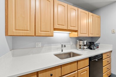 Crossroads on the Charles unit 302, Watertown, MA 02472 - photo 6