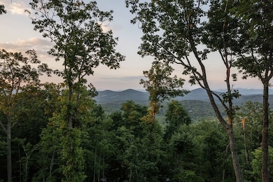 224 Eagle Ridge, Morganton, GA 30560 - photo 4