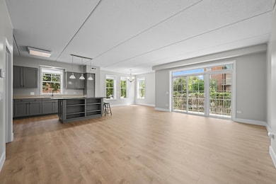 133 W Palatine Rd unit 107A, Palatine, IL 60067 - photo 3