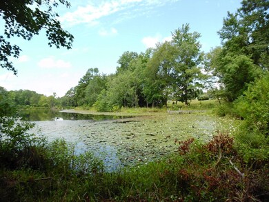 Pond View - Behind Property