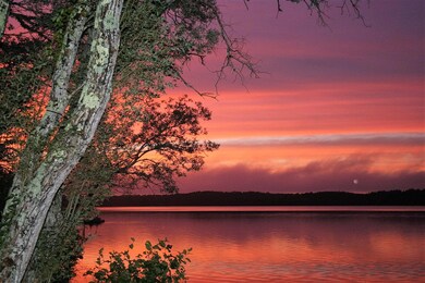 31 Blueberry Ln, Harwich, MA 02645 - photo 3